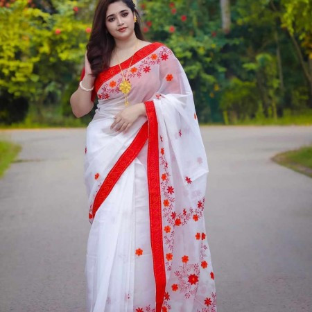 2404 Halfsilk Saree
